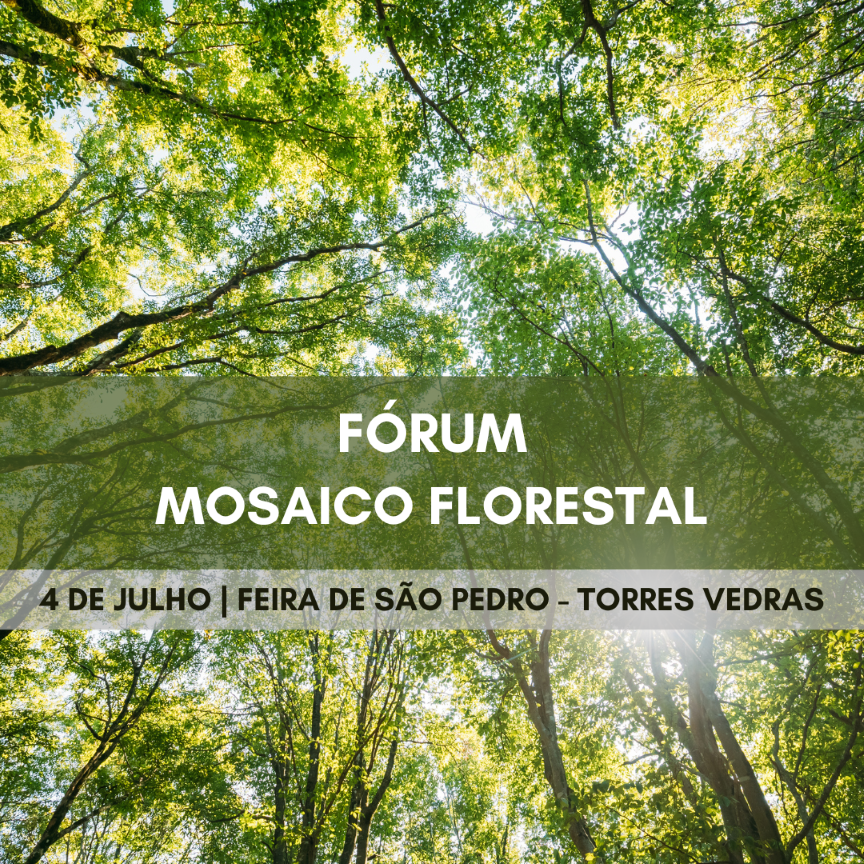 Forum_Florestal_AFLOeste_2024