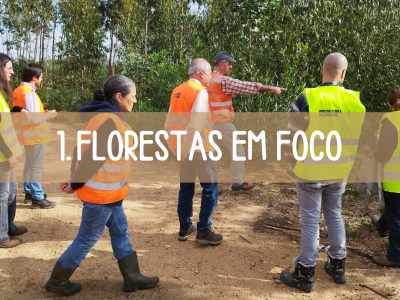 1_Florestas_Em_Foco