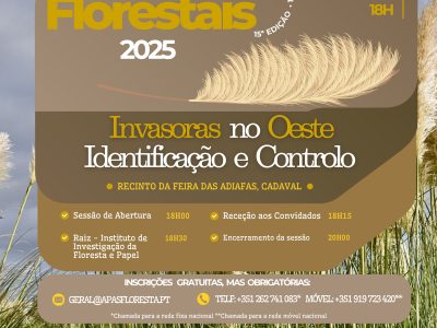 Cartaz_Conversas_Florestais_2025_Insta