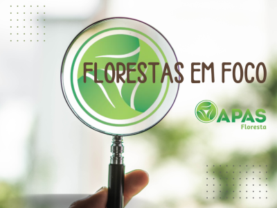 Florestas_Foco_Site_Redes_Sociais