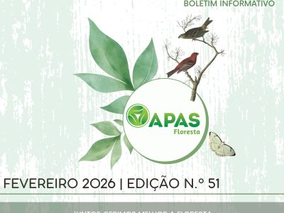 Imagem_Noticias_Site