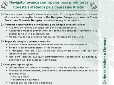 Newsletter_insta
