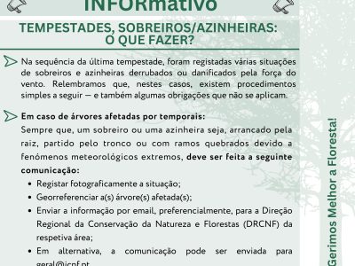 Newsletter_insta (3)