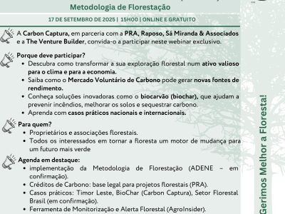 Newsletter_insta_Carbon