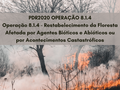 PDR2020_Operacao_8.1.4