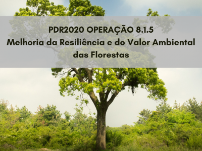 PDR2020_Operacao_8.1.5