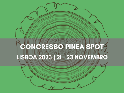 Pinea_Spot_2
